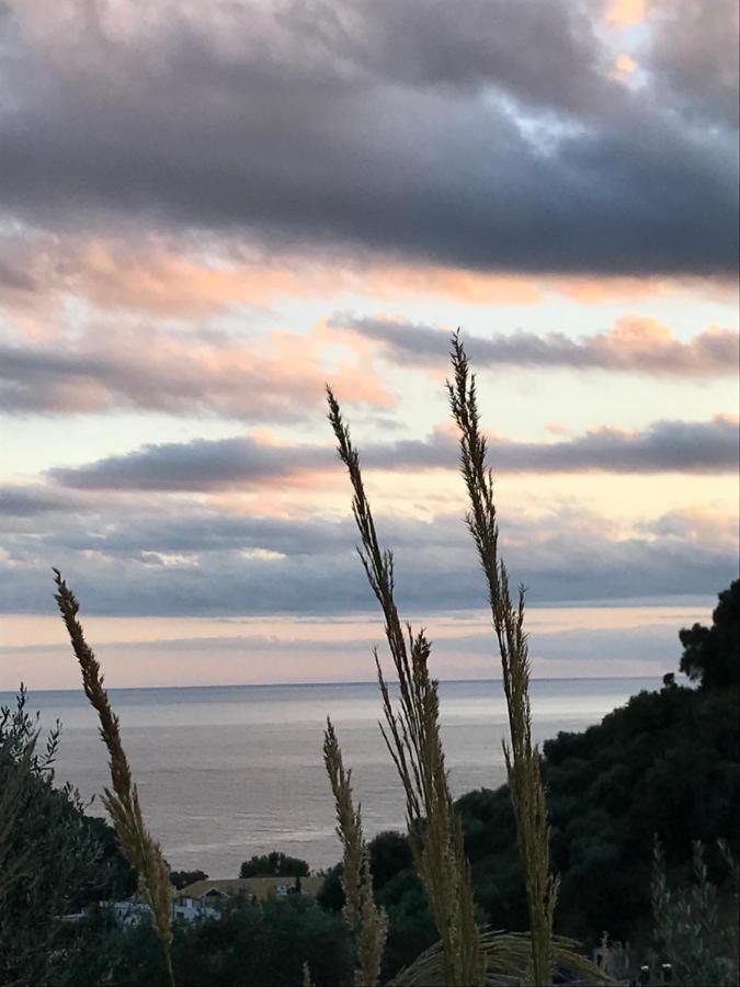 Asaya Hills Villas Parga Dış mekan fotoğraf
